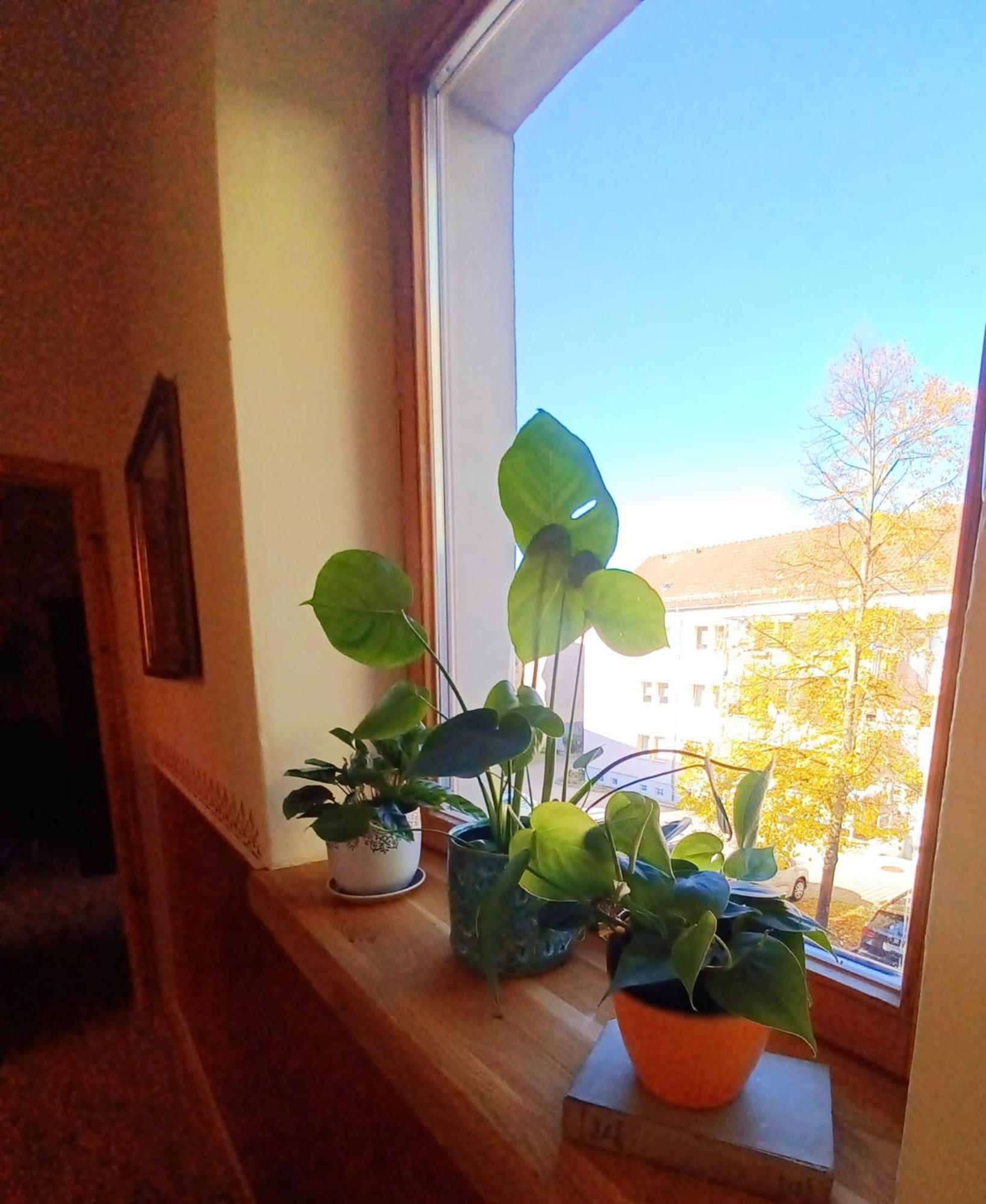 Ferienwohnung Antik Gotha Dış mekan fotoğraf